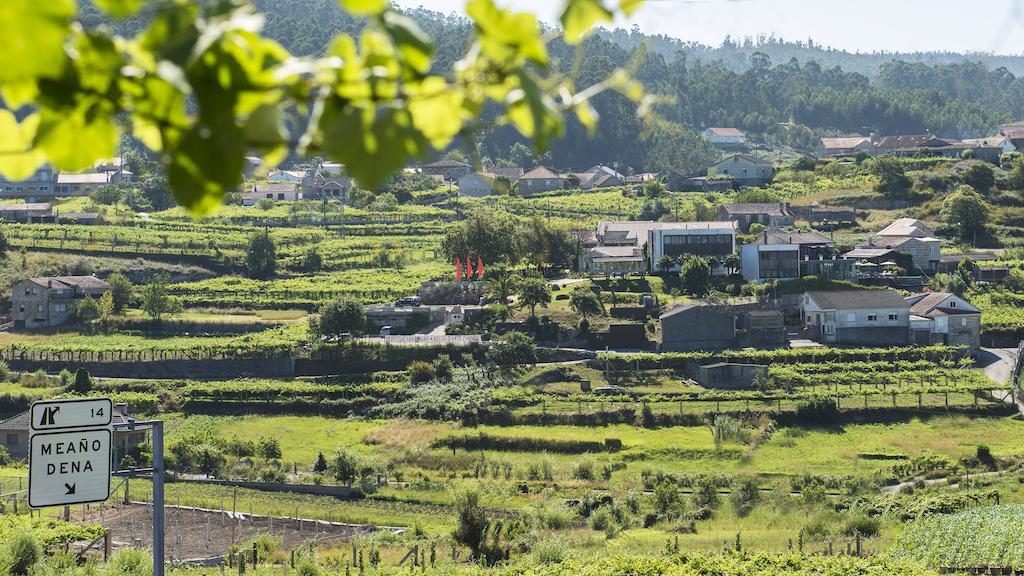 Quinta De San Amaro Rias Baixas Otel Meaño Dış mekan fotoğraf