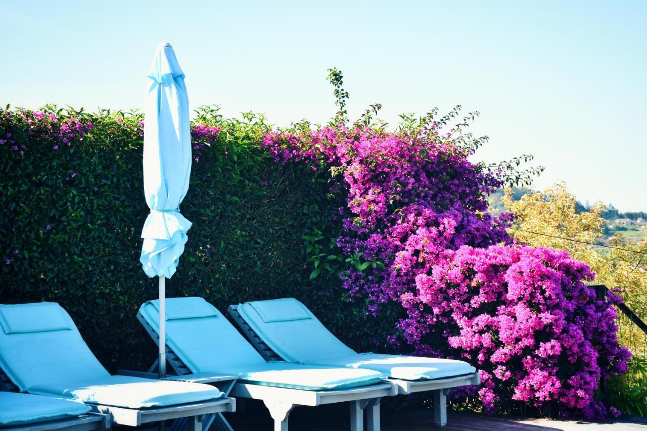 Quinta De San Amaro Rias Baixas Otel Meaño Dış mekan fotoğraf